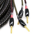 Dây loa Audioquest Type 6