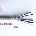 Cáp âm thanh vặn xoắn 2 lớp chống nhiễu Shield Altek Kabel
