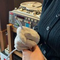 Dây teflon 6ly mạ bạc hàng Mỹ