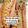 Địa chỉ bán tôm he vằn tươi ngon giá tốt