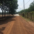Bán đất vườn giá rẻ, gần KCN Becamex tại Chơn Thành Bình Phước