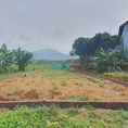 Chính chủ bán lô đất Huyện Tam Đảo Tỉnh Vĩnh Phúc
