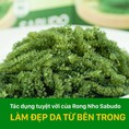 Rong Nho Sabudo có tốt không