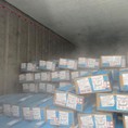 container lạnh tủ đông loại lớn
