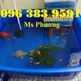 Thùng nhựa nuôi cá 200l giá rẻ