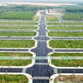 Lô nội bộ dự án hana garden 100m2 giá 760 triệu
