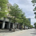 Cho thuê 3 căn shophouse liền nhau mặt đường Tố Hữu Hà Đông LH 0913034568