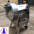 Máy thái rau củ quả đa năng