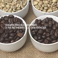 Cung cấp cà phê robusta hạt rang mộc 1kg giá sỉ chỉ 85k
