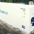 Thùng container lạnh 40feet chứa thực phẩm