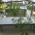 Cho thuê văn phòng quận 4 HTH Building Kim Quang Office cập nhật 2/8/2021