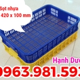 Sọt nhựa cao 10cm, sọt HS010, sọt nhựa đựng hoa quả trong siêu thị