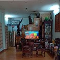 Cho thuê nhà HXH Nguyễn Văn Nghi, P7, Gò Vấp, 100m2, 2 tầng, 12 triệu/ tháng