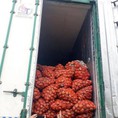 Container lạnh bảo quản rau củ quả