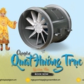 Quạt hướng trục