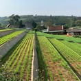 Bán 6000m2 đất nghĩ dưỡng Bảo Lộc, Lâm Đồng, view đẹp 1.6 tỷ 1000m2. Lh:0907787699