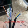 Cáp mạng liền nguồn Cat6 FTP 2C lõi đồng ngoài trời TE KRONE