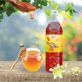Mật ong hoa nhãn nguyên chất 1200g Thuyên Phong Mật