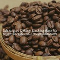 Cà phê arabica Cầu Đất bán giá sỉ số lượng ổn định chất lượng hảo hạng