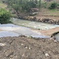 Cần ra đi 1.3ha đất view suối Gia Hiệp Di Linh, tiện đầu tư nghỉ dưỡng