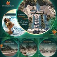 Biệt thự làng nhiệt đới Sun Tropical Viilage Phú Quốc