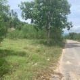 Bán 3,7ha đất Diên Lâm Diên Khánh mặt tiền đường nhựa