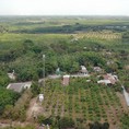 Bán 1000m2 xã hòa bình, h.xuyên mộc, brvt, shr, 850 triệu.