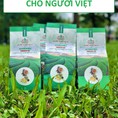 Authentea Việt Nam Chuyên cung cấp trà sạch, ngon, chất lượng cao