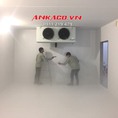 Lắp đặt kho lạnh bảo quản thực phẩm đông lạnh tại Bình Phước