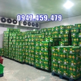 Thi công kho lạnh bảo quản thanh long tại Bình Thuận