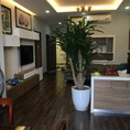 Cho thuê căn hộ chung cư Tràng An complex 80m2 giá full nội thất 14tr/th.