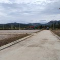 Đất nền phân lô ven Đà Lạt , thị trấn Đinh Văn, Lâm Hà, Lâm Đồng
