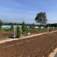 Ra lô đất 7m mặt tiền giá 520TRIEU