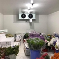 Hoàn thiện kho lạnh bảo quản hoa tươi tại Đà Lạt