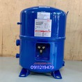 Nơi uy tín bán máy nén danfoss piston mt36, mt64, mt80, mt100, mt125, mt160