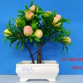 hoá trang trí giá rẻ