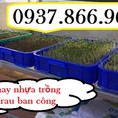 Thùng nhựa đựng thực phẩm, khay nhựa màu xanh cao 10, khay nhựa đựng thực phẩm, khay đựng linh kiện