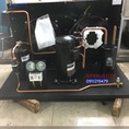 Lên hoàn thiện cụm máy nén copeland 12hp ZR144KC