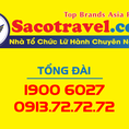 Cho Thuê Xe Tháng Dịch vụ cho thuê xe từ 7 45 chỗ Saco Travel