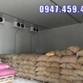 lắp đặt kho lạnh bảo quản nông sản hạt ươi