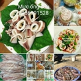 Ở đâu bán mực tươi Quảng Ninh chuẩn ngon
