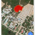 Chính chủ bán lô đất 8000m2 Phước Hạ, Phước Đồng đang phân lô đối diện DiamonBay