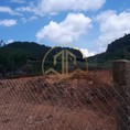 Bán đất ngoại ô Đà Lạt diện tích hơn 3000m bằng phẳng, xe tải vào tận nơi