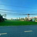 Đất lúa mặt tiền đường Bờ Mồi, 24x55m xã Phước Tuy, Cần Đước