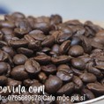 Cà phê mộc nguyên chất Bình Dương giá sỉ Escovina giao hàng trong ngày