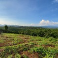 Chính Chủ bán 4,3 sào đất view Đồi núi săn Mây rất đẹp gần Thác Dambri Bảo Lộc