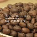 Escovina cofffee cung ứng sỉ số lượng cà phê mộc Đà Lạt Buôn Mê Thuột ổn định không áp doanh số dù chỉ 1kg