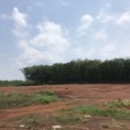 Bán đất Bình Phước Phú Riềng 1000m2