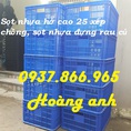 Sọt nhựa rỗng chuyên đựng hải sản, sọt nhựa đừng thực phẩm