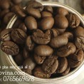 Cà phê máy tại Bình Thuận cung cấp giá sỉ escovina coffee